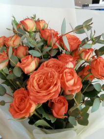 bifa·必发(中国)唯一官方网站