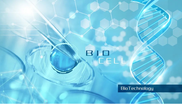 bifa·必发(中国)唯一官方网站